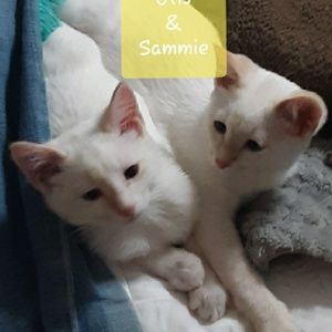 Meet your Posher, Kari